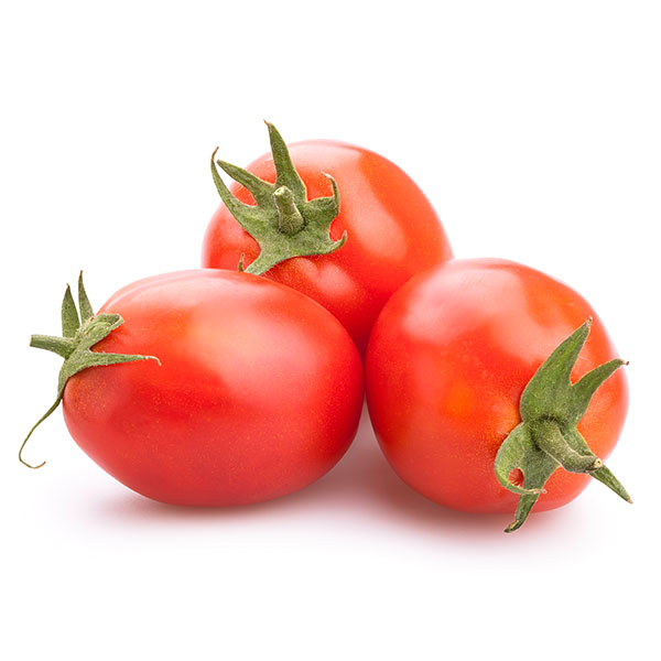 עגבניה שולם